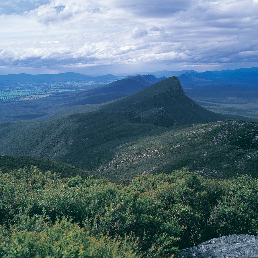 Grampians Eco Tours